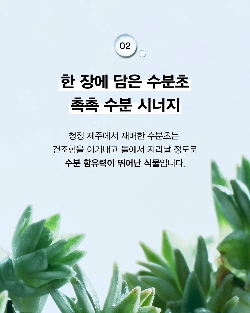 [10초수분충전] 아비브 수분초 히알루론 패드 하이드레이팅 터치 75매 기획 (+10매 추가 증정) 상세페이지 11